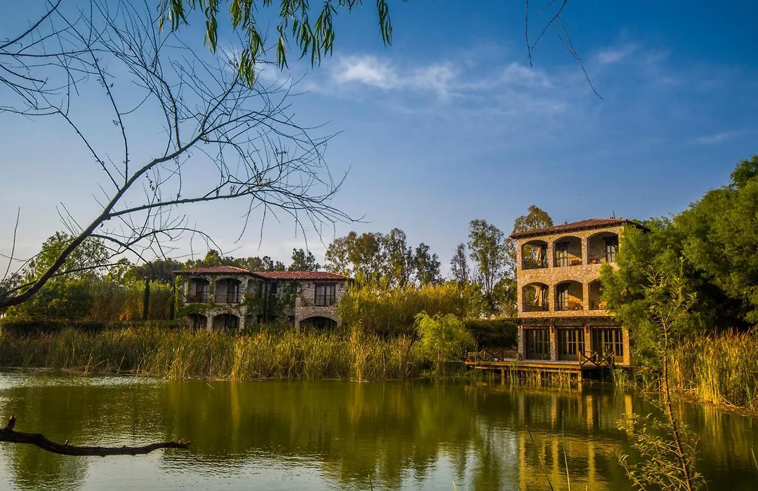 Vinedos San Lucas-1
